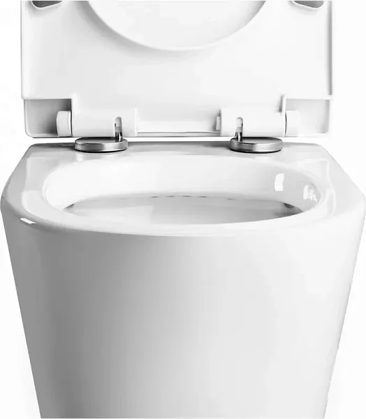 Унитаз подвесной Teymi Rita Pro W00123 подвесной безободковый с микролифтом фото 11