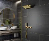 Душевой комплект TIMO Petruma SX-5249/17SM фото 3