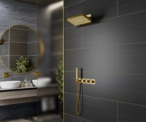 Душевой комплект TIMO Petruma SX-5249/17SM фото 3