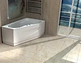 Боковой экран для ванны Aquatek Медея 90 см EKR-B0000022 правый фото 2