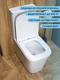 Унитаз-компакт Watersense Amelia W00093 напольный безободковый с микролифтом фото 1