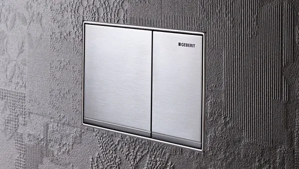 Смывная клавиша для унитазов Geberit Omega 60 115.081.GH.1 фото 2