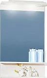 Зеркало Бриклаер Чили 55x90 4627125414930 с полочкой и подсветкой фото 1
