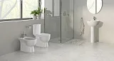 Унитаз-компакт Sanita Luxe Art WC.CC/Art/2-DM/WHT.G/S1 напольный с сиденьем микролифт фото 7