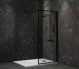Душевая перегородка PAINI PAINI-WalkIN90F фото 4