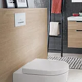 Смывная клавиша для унитазов Villeroy & Boch ViConnect E302 922169N5 фото 3