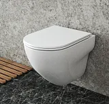 Унитаз Owl 1975 Wave TOWLT190801 подвесной безободковый с сиденьем микролифт фото 7
