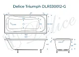 Ванна из искусственного камня Delice Triumph DLR330012-G фото 1
