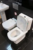 Унитаз-компакт Roca Dama Senso 342517000 напольный с бачком 341517000 фото 6