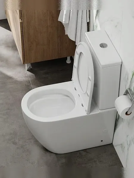 Унитаз-компакт Watersense Milana R W00747 напольный безободковый с микролифтом фото 4
