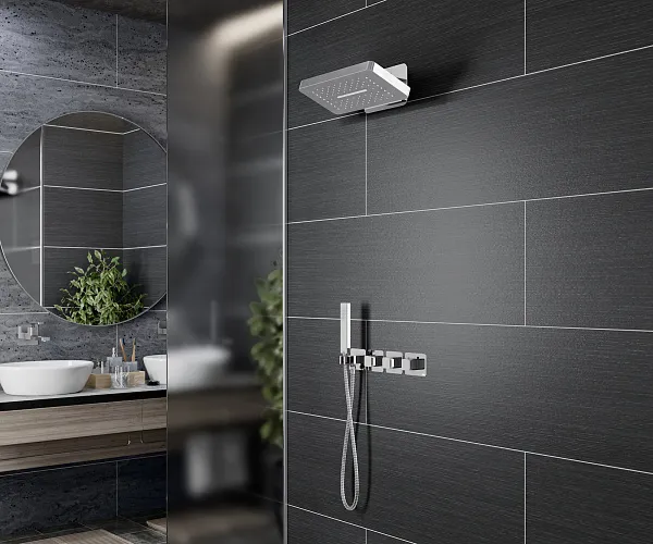 Душевой комплект TIMO Petruma SX-5249/00SM фото 3