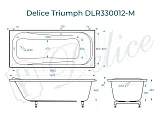 Ванна из искусственного камня Delice Triumph DLR330012-M фото 1