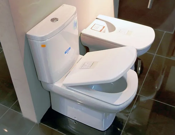 Унитаз-компакт Roca Dama Senso Compacto 342518000 напольный с бачком 34151B000 фото 4