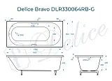 Ванна из искусственного камня Delice Bravo DLR330064RB-G фото 1