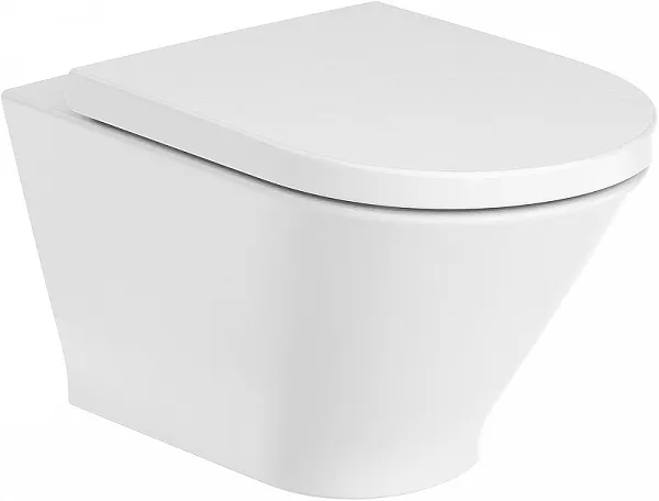 Крышка-сиденье Roca The Gap 801D12001 с микролифтом фото 2