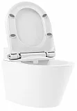 Унитаз Lavinia Boho Smart V-Clean 335901RS подвесной безободковый с микролифтом фото 3