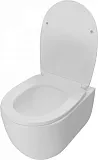 Унитаз подвесной Teymi Amelia Vortex W00157 подвесной безободковый с микролифтом фото 8