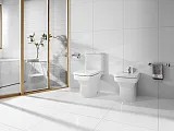 Крышка-сиденье Roca Dama-N 80178B004 фото 3