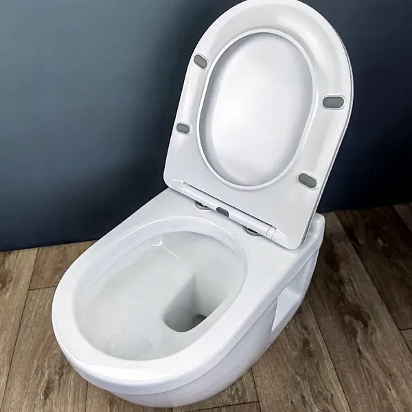 Унитаз подвесной Teymi Nancy Pro W00162 подвесной безободковый с микролифтом фото 12