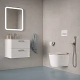 Унитаз Iddis Slide SLIRDSEi25 подвесной безободковый с сиденьем микролифт фото 10