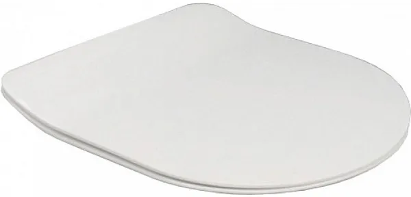 Крышка-сиденье BelBagno Sfera-R BB2034SC с микролифтом фото 1