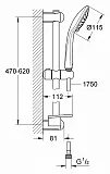 Душевой гарнитур Grohe Euphoria 110 Duo 27230001 фото 2