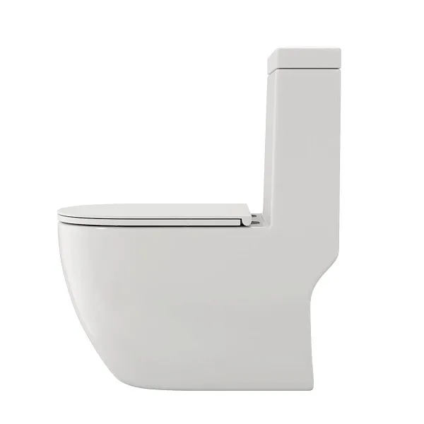 Унитаз-компакт Watersense Milana W00122 напольный безободковый с микролифтом фото 1