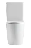 Унитаз-компакт напольный Iberica Blanca Bilbao Maxi IB.BLM.124.1B1 безоободковый с микролифтом фото 9
