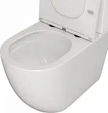 Унитаз-компакт Watersense Milana Vortex W00744 напольный безободковый с микролифтом фото 7