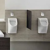 Смывная клавиша для писсуаров Grohe Tectron Skate 37321001 фото 3