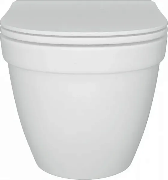 Унитаз подвесной Teymi Nancy Pro W00162 подвесной безободковый с микролифтом фото 8