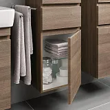 Шкаф-пенал Geberit Renova Plan 39x180 869003000 фото 3