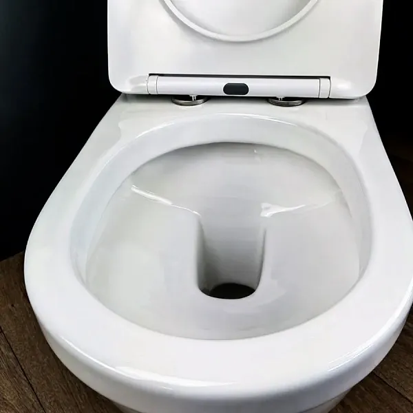 Унитаз подвесной Teymi Nancy Pro W00162 подвесной безободковый с микролифтом фото 14