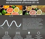 Зеркало Wellsee 7 Rays' Spectrum 50x80 см 172201700 c подсветкой за полотном фото 4