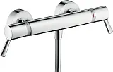 Термостат Hansgrohe Ecostat Comfort Care 13117000 для душа фото 1