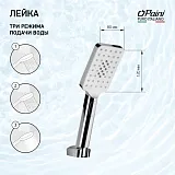 Душевая лейка PAINI Ravenna RVCR155 фото 1