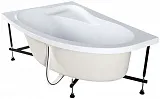 Каркас для ванны Aquanet Luna 155x100 00203997 левый фото 3