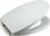 Крышка-сиденье Roca Georgia 801412004 с микролифтом фото 1