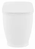 Унитаз Lavinia Boho Bell Pro 33010030 приставной с микролифтом фото 3