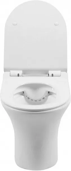 Унитаз Aquanet Roll-W 210766 подвесной безободковый с микролифтом фото 4