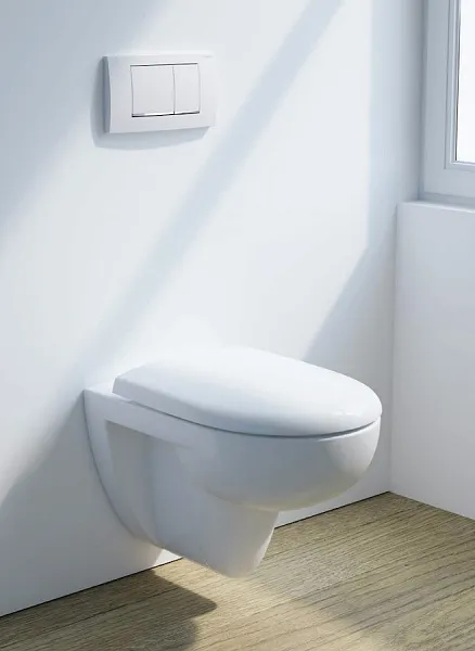 Смывная клавиша для унитазов Geberit Twinline 30 115.899.KJ.1 фото 2