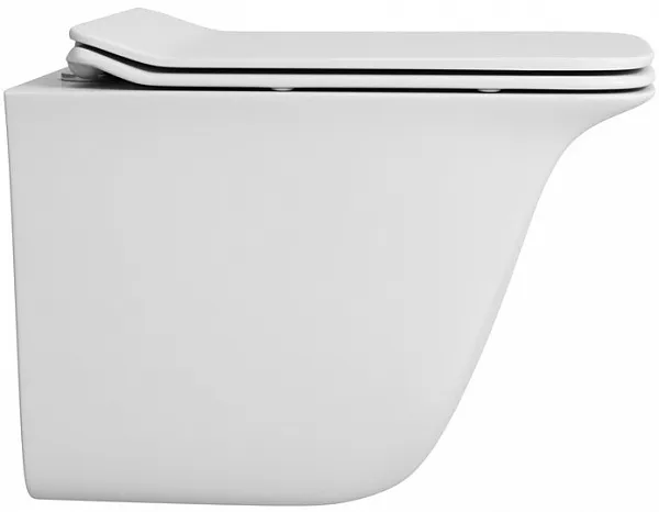 Унитаз OWL 1975 Eter Ruta-H OWLT190203 подвесной безободковый с микролифтом фото 2