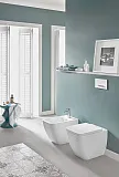Смывная клавиша для унитазов Villeroy & Boch ViConnect E303 92216168 фото 4