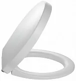 Крышка-сиденье Jacob Delafon Ove E70005-00 с микролифтом фото 1