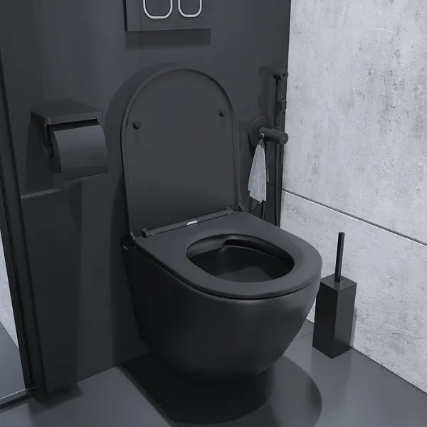 Унитаз Iddis Blanco BLAR3BMi25 подвесной безободковый с сиденьем микролифт фото 6