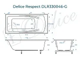 Ванна из искусственного камня Delice Respect DLR330046-G фото 2