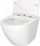 Унитаз подвесной Teymi Milana S W00078 подвесной безободковый с микролифтом фото 8