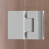 Душевая дверь RGW Hotel 350600810-11 фото 2