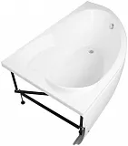 Экран для ванны Aquanet Sarezo 160 см 187429 левый фото 4