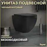 Унитаз подвесной Teymi Milana S W00080 подвесной безободковый с микролифтом фото 1